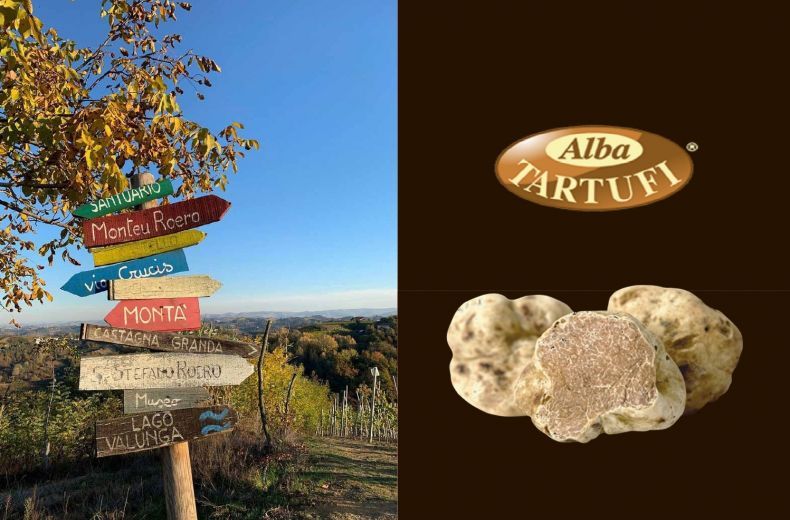 4c Tartufi Di Stagione A Breve Il Tartufo Bianco D Alba
