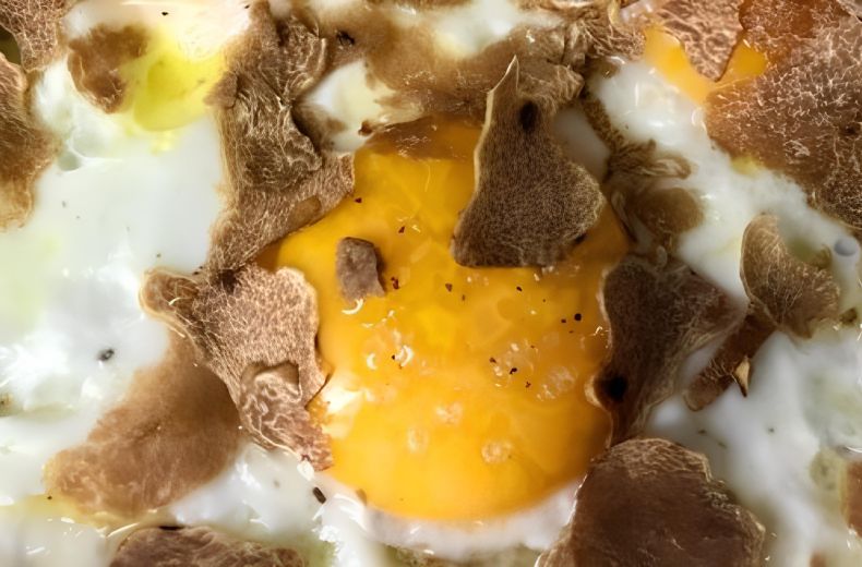 Albatartufi Tartufo Di Alba Piemonte Italia