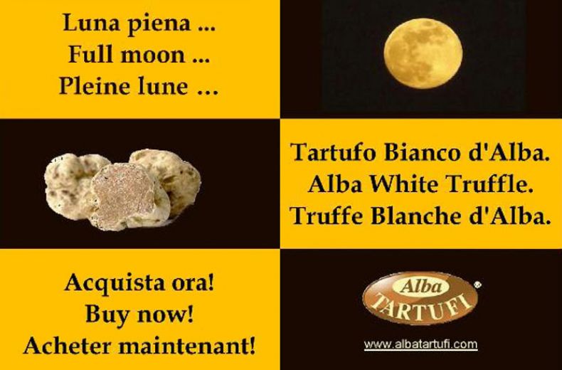 Luna Piena In Attesa Del Tartufo Bianco D Alba