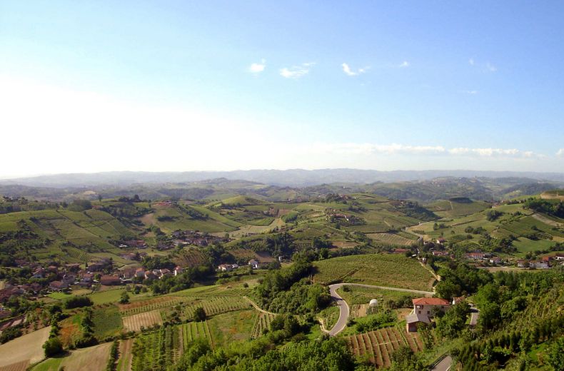 Monta D Alba Roero Piemonte Alba Tartufi 2 002