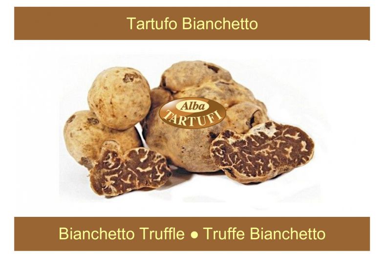 Tartufo Bianchetto Bianchetto Truffle Truffe Bianchetto