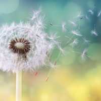 Desideri Tour Natura Personalizzato Alba Tartufi 1