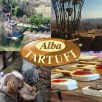 I Tour Natura Di Maggior Interesse In Italia Tour Del Tartufo Alba Tartufi