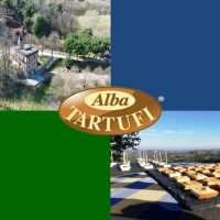 La Connessione Con La Natura Il Fondamentale Per La Salute Alba Tartufi