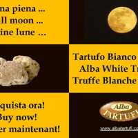 Luna Piena In Attesa Del Tartufo Bianco D Alba