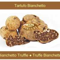 Tartufo Bianchetto Bianchetto Truffle Truffe Bianchetto