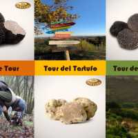 Tour Del Tartufo Alba Tartufi Monta D Alba Piemonte Italia