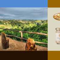 Tour Del Tartufo D Alba Alba Tartufi 1 1