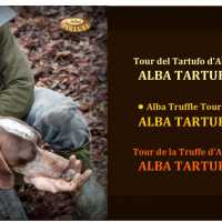 Tour Del Tartufo D Alba Percorso Naturalistico Alba Tartufipage 0001
