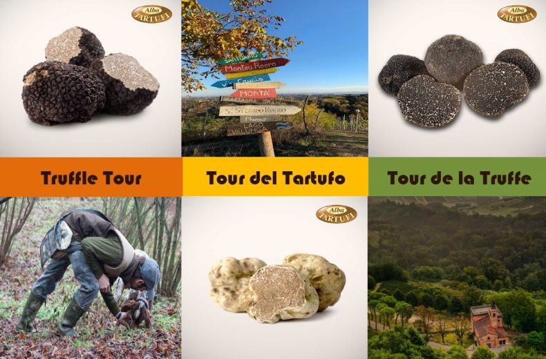 Tour Del Tartufo Alba Tartufi Tartufi Freschi Di Stagione