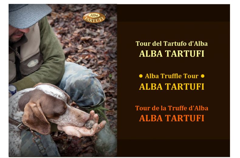 Tour Del Tartufo D Alba Percorso Naturalistico Alba Tartufipage 0001