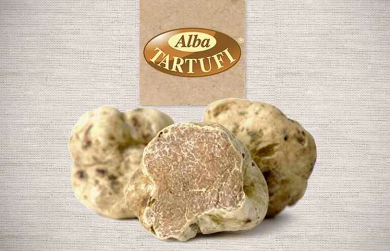 Alba Tartufi