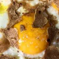 Freshly Harvested White Truffles from Alba Alba Truffles Piedmont Italy