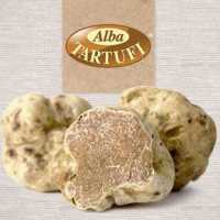 Tartufo Bianco D Alba Alba Tartufi 3 Consigli Per Gli Acquisti