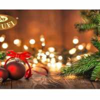 Il Gourmet Della Festa Alba Tartufi