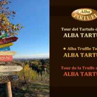 Tour Del Tartufo D Alba Alba Tartufi Organizza Ora Il Tuo Tour