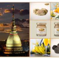 Aperitivi Apericena E Banchetti Aulici A Torino Alba Tartufi