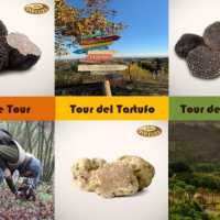 Tour Del Tartufo Alba Tartufi Tartufi Freschi Di Stagione