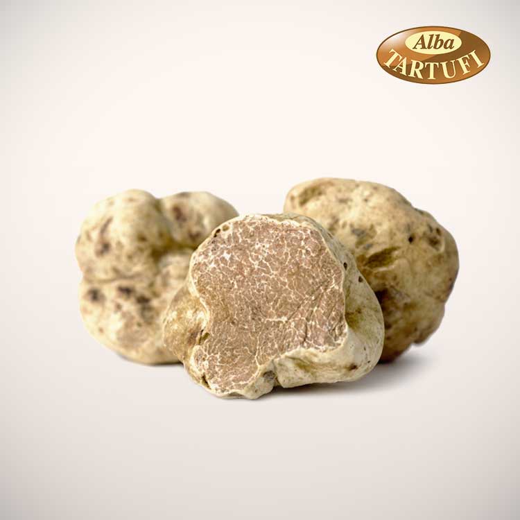 White truffle of Alba